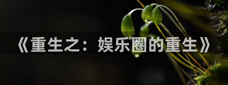 恒盛娱乐官网