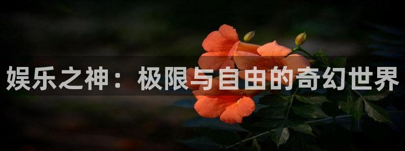 恒盛娱乐下载