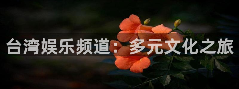 恒盛娱乐登录