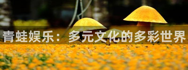 恒盛娱乐官网
